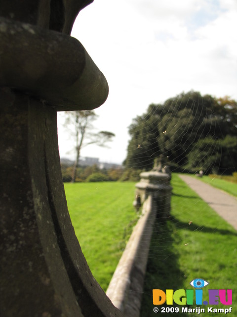 SX09867 Spiderweb on ornament of garden wall in Margam Castle wall